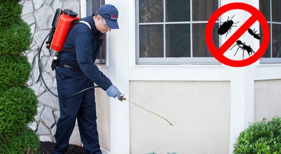Karşıyaka Tahtakurusu İlaçlama böcek ilaçlama ve haşere kontrolü — ilaclama-tr.com